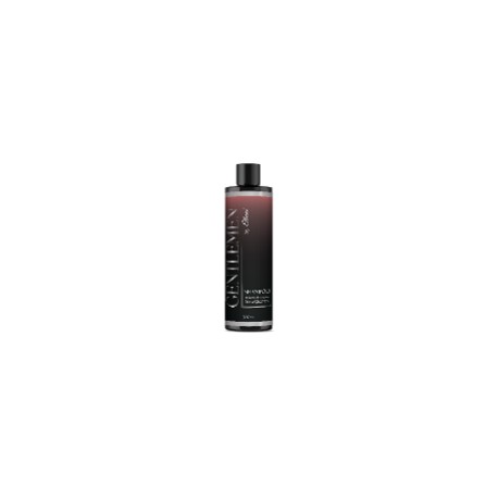 Ellani Hajsampon Férfi  Általános Hajra  300ml 999915