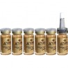 Angel hajszesz ginseng 5 x 10 ml